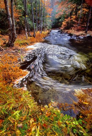 62  2715--Foam-Swirl-in-Bicknell-Brook--MB0-20-.jpg